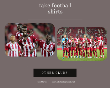 fake Olympiacos football shirts 23-24